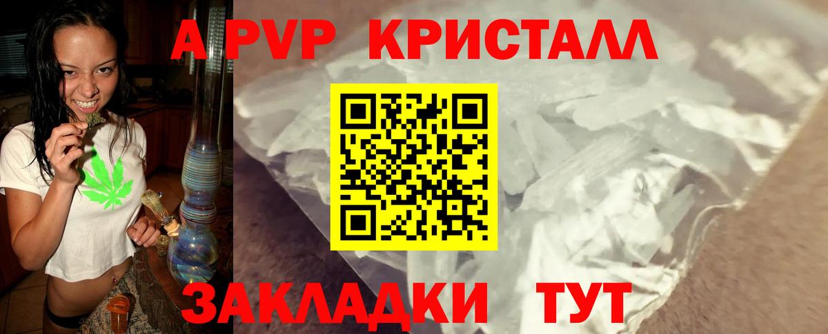 Альфа ПВП СК КРИС Ипатово