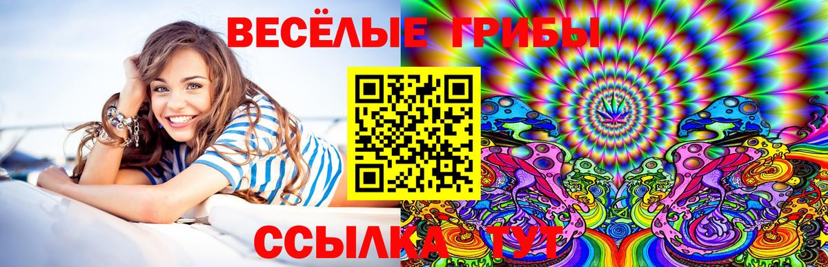 Псилоцибиновые грибы Cubensis Ипатово